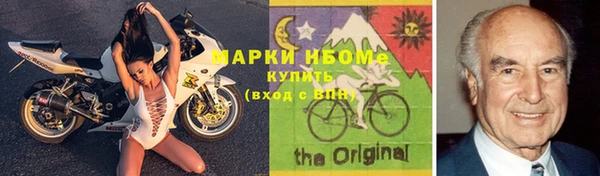 шишки Лабытнанги