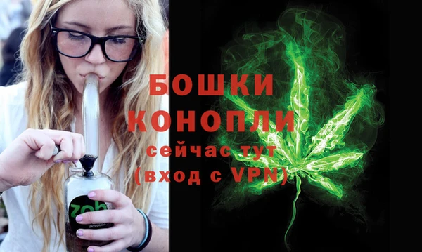 шишки Лабытнанги