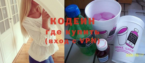 шишки Лабытнанги